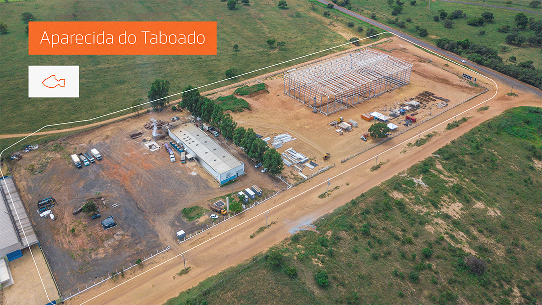 Grupo Patense Aparecida do Taboado