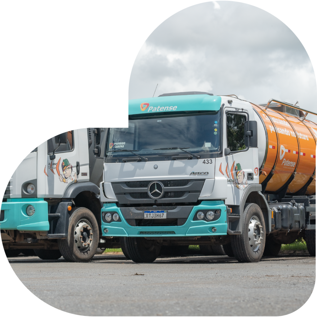 De bem com a natureza – Grupo Patense